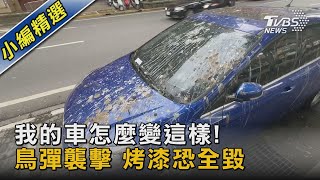 我的車怎麼變這樣! 鳥彈襲擊 烤漆恐全毀｜TVBS新聞@TVBSNEWS02