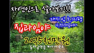 12012 나는 자연인이다~ 평창 임야와주택 총16,931㎡(5,121평)  2억5천만원 #횡성부동산 #횡성전원주택매매 #전원주택