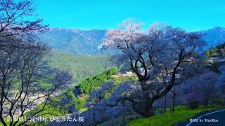 Timelapse Movie 【4K】 \