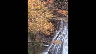 宮妻峡　紅葉　四日市市　三重県