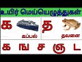 Tamil UyirMei Ezhuthukkal - உயிர்மெய் எழுத்துக்கள் | Learn Tamil Alphabets - Adipadai Tamil