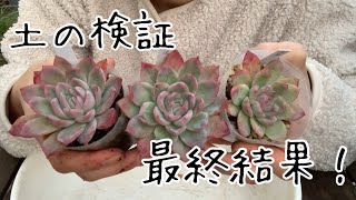 多肉植物に合う土を検証 #3最終回