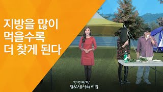 지방을 많이 먹을수록 더 찾게 된다 - (2011.11.12_391회 방송)_입체분석 3대 영양소의 진실 (2) - 지방, 균형이 몸을 살린다