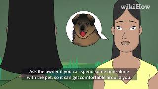 How to Be a Good Pet Sitter