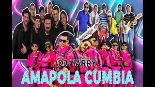 CUMBIA MIX  AMAPOLA , amar azul ,la vagancia y más