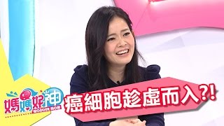 膽固醇低影響免疫力 癌細胞趁虛而入？！倪雅倫 陳櫻文 20170322  part4/5 媽媽好神