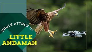 Eagle took away my Drone: The Andaman Adventure and a Daring Recovery