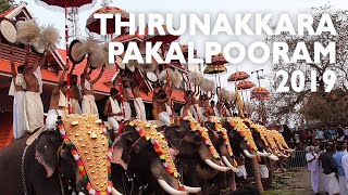 Pooram Highlights