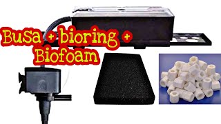 Modifikasi sederhana Pada Box Filter Aquarium Agar Air Menjadi Bening