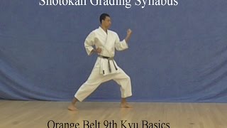 Orange Belt 9th Kyu Shotokan Karate Syllabus Basics