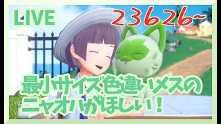 【色違い2匹でたよ】【177日目】すこしだけニャオハ孵化【色最小メス厳選】～23750匹目まで【ポケモンSV】