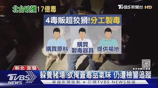 製毒再進化!年輕製毒師 3天合成喵喵出貨 ｜TVBS新聞 @TVBSNEWS02