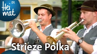 Berghammer Tanzlmusi: Strieze Polka | BR Heimat - Zsammg'spuit | Volksmusik