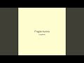 Fragile Aurora