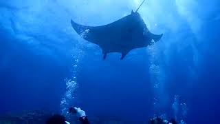 気持ちいいダイビングスポットなら石垣島