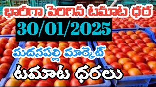 మదనపల్లి 🍅మార్కెట్ 🍅ఈరోజు టమోటా ధరలు /30/01/25/Today Tomato Market Madanapalle price in Rate#tomato