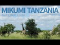 Trip to Africa!! Mikumi national park, Tanzania! / 아프리카 탄자니아 사파리 미쿠미