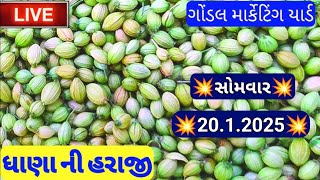 નવા ધાણા ના ભાવ / ગોંડલ ધાણા ના બજાર ભાવ / ધાણી ના બજાર ભાવ / ગોંડલ માર્કેટિંગ યાર્ડના બજાર ભાવ