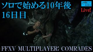 FF15戦友ーソロで始める10年後16日目