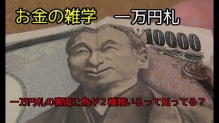 【雑学】一万円札について知ってみよう【お金】