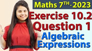 Q 1, Ex 10.2 - Algebraic Expressions - Chapter 10 - Maths Class 7th - NCERT, New Syllabus 2023 CBSE