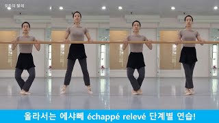 발레용어사전_35-3. échappé relevé 에샤뻬 를르베 단계별 연습 (에이샤페 업)