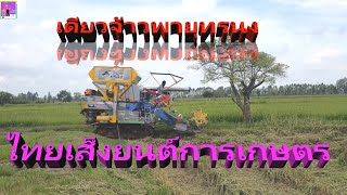 รถเกี่ยวข้าว[เดี่ยวจ้าวพายุทรนงไทยเส็งยนต์การเกษตร]เกี่ยวข้าวใหญ่รุ้งนิมิตรนาปรังปี 64