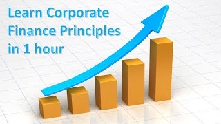 7 Learn Corporate Finance Principles in 1 Hour: Risk Management