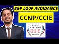 What is BGP LOOP Avoidance || BGP Loop Avoidance Basics- Hindi