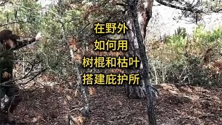 在野外如何用树棍和枯叶搭建庇护所