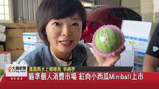 瞄準個人消費市場 紅肉小西瓜Miniball上市-大揚新聞