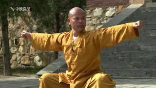 Shaolin Cannon Fist  '少林炮拳'  4/4