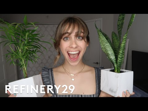 5 Days Of Indoor Gardening | Try Living With Lucie | Refinery29 5 Days Of Indoor Gardening | Try Living With Lucie | Refinery29