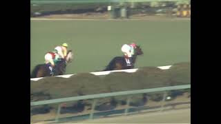 ビワハヤヒデ 1993年 第38回有馬記念(GI) (優勝馬：トウカイテイオー)