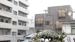 2011_3_7 市川市　大雪