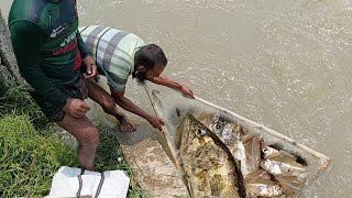 নতুন পানিতে নদী থেকে চেলা মাছ ধরার সুন্দর একটি কৌশল।