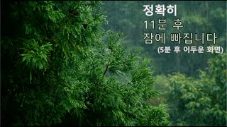 [광고❌]12시간 영상 ★ 수면유도 ★ 델타파 + 비소리 + 쉬소리 백색소음 ★ 수면음악 ★ 아기재우기