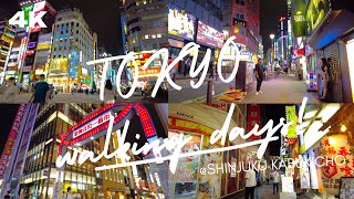 【4K】Tokyo walk Night - Shinjuku Kabukicho Shinjuku West side (新宿歌舞伎町、新宿西側)