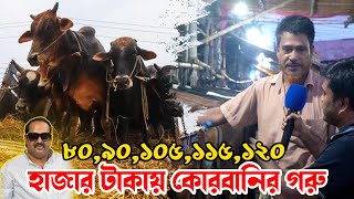 রমজান আলী বেপারীর সুঠাম দেহের গরুগুলো কত দাম চাচ্ছে দেখুন! গাবতলী গরুর হাট 2024