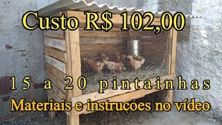 Pinteiro de palete capacidade 15 a 20 pintainhas com 30 dias de vida