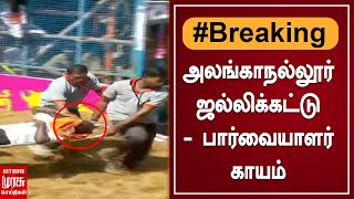 BREAKING | அலங்காநல்லூர் ஜல்லிக்கட்டு - பார்வையாளர் காயம்  | alanganallur Jallikattu 2023 | Pongal