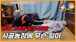 정월 고추장 담기 실패! 도대체 시골 농장에서 무슨일이 있었길래...