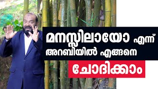 മനസ്സിലായോ എന്ന് അറബിയിൽ എങ്ങനെ അറബിയിൽ ചോദിക്കാം | Saeed Areekode