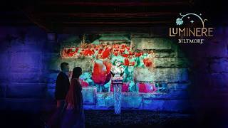 Luminere exploration guide | Biltmore
