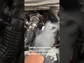 HOW TO CLEAN ENGINE BAY | Würth Malaysia