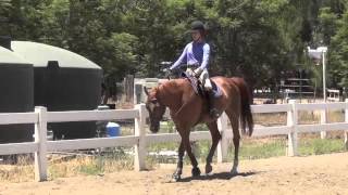 Sam and Legacy Full Lesson 1