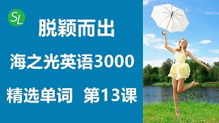 英文词汇：海之光3000分类英语单词 第13课 | 零基础英语单词系列 | 初级英语学习必备英文词汇 #海之光英语