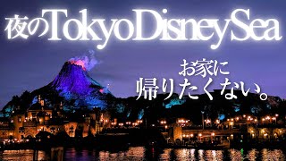 【後編】煌めく夜の魔法。ディズニーシーの夜に感動した日。/ビリーヴ！〜シー・オブ・ドリームス〜