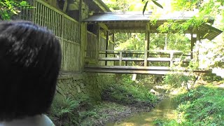 30秒の心象風景25237・屋根付きの橋～岩戸神社～