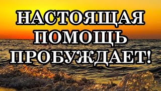 НАСТОЯЩАЯ ПОМОЩЬ ПРОБУЖДАЕТ! Ситуации бывают разные, но есть желание помочь. Как это сделать?